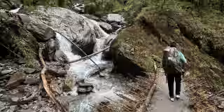 Backpackers navigate wet forest trail in Annapurna Backpackers navigate wet forest trail in Annapurna