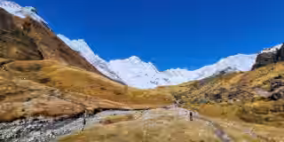 Snowy Annapurna peaks rise from golden valley Snowy Annapurna peaks rise from golden valley