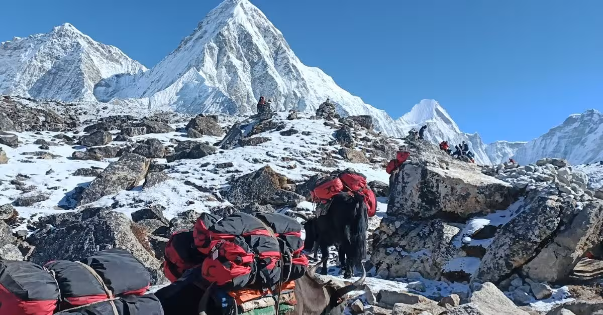 Group EBC Trekking team with porters and mules in Everest region