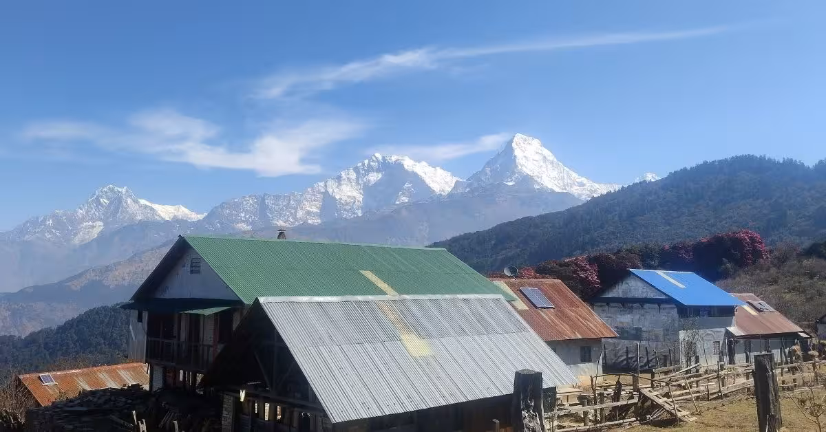 Lodge at Mohare Danda with mountain panorama