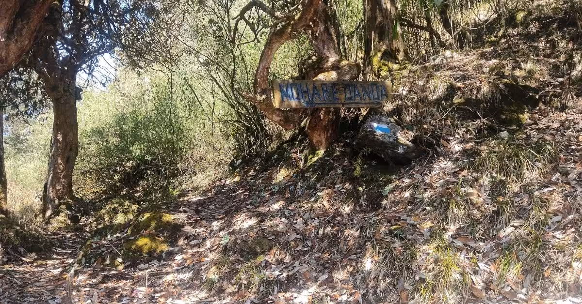 Signboard marking the trail on Mohare Danda route