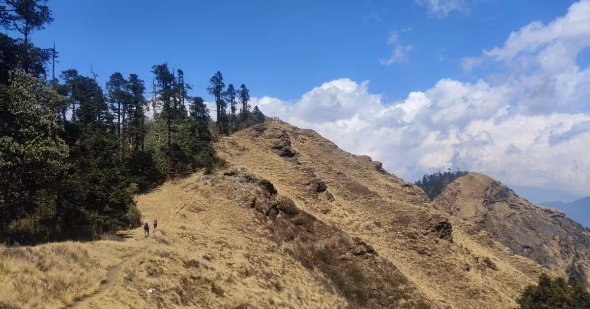 Travel route on grassy ridge with forest and clouds along the Mohare Danda route