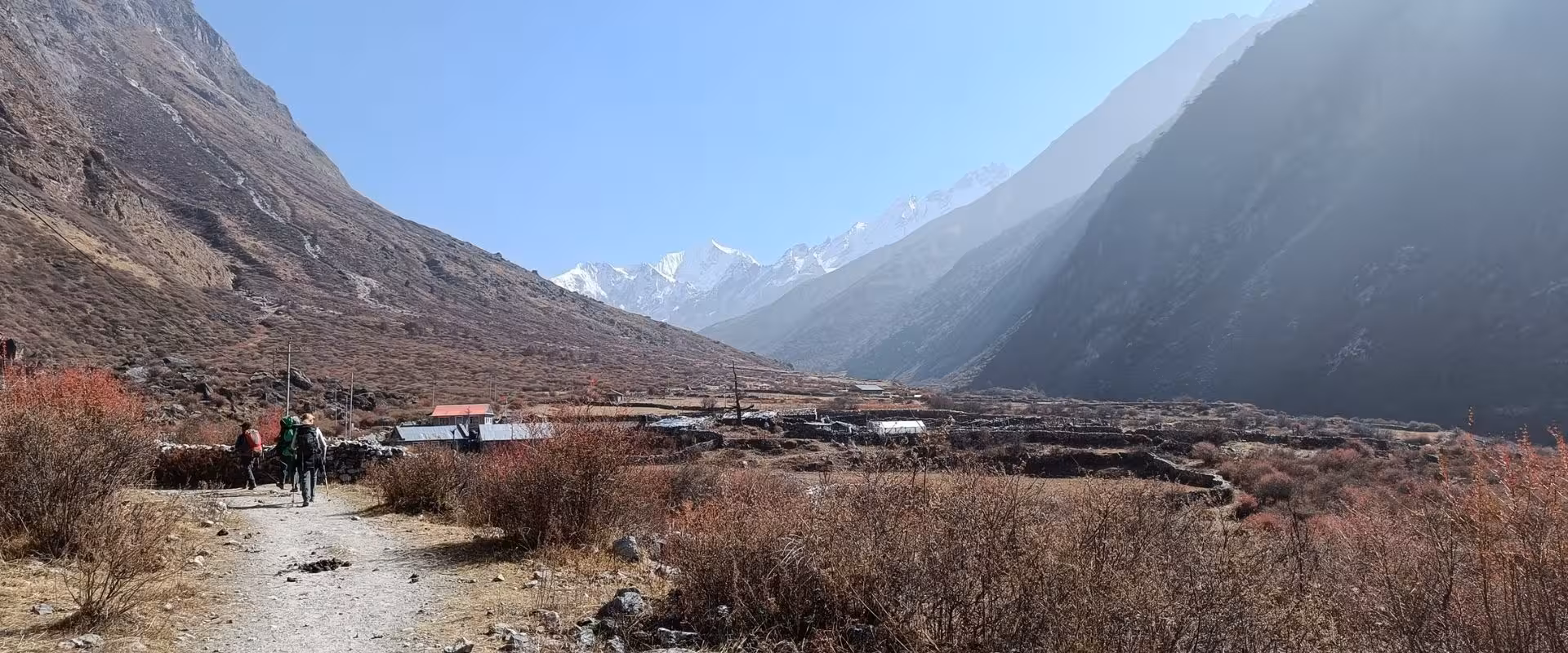 Best Treks for Beginners in Nepal: Easy and Altitude-Friendly