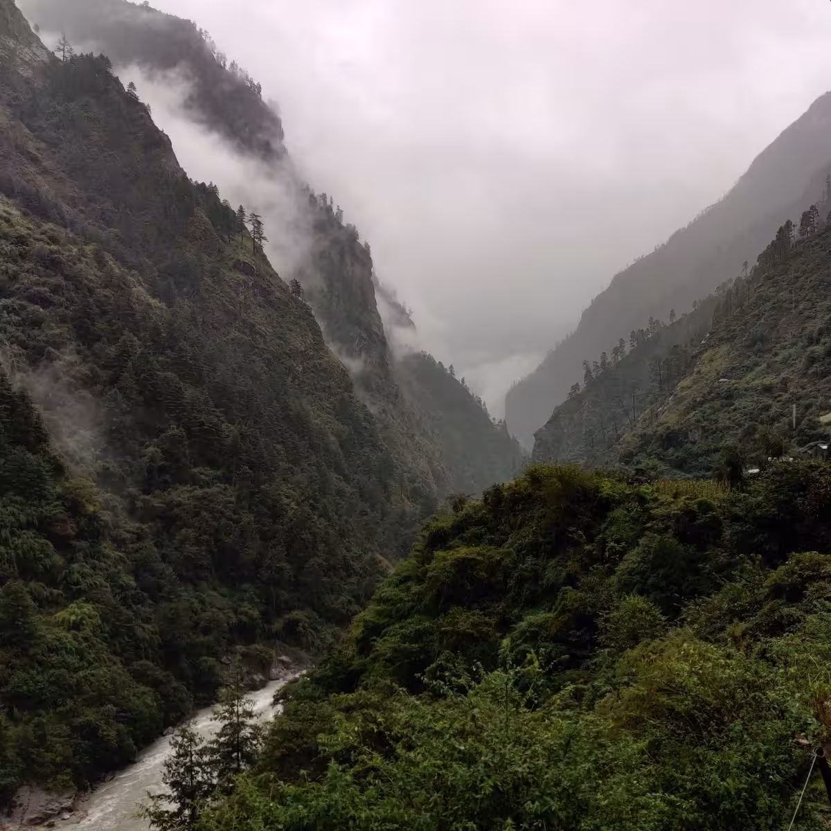 Misty river valley surrounded by lush green hills on the Tsum Valley trek