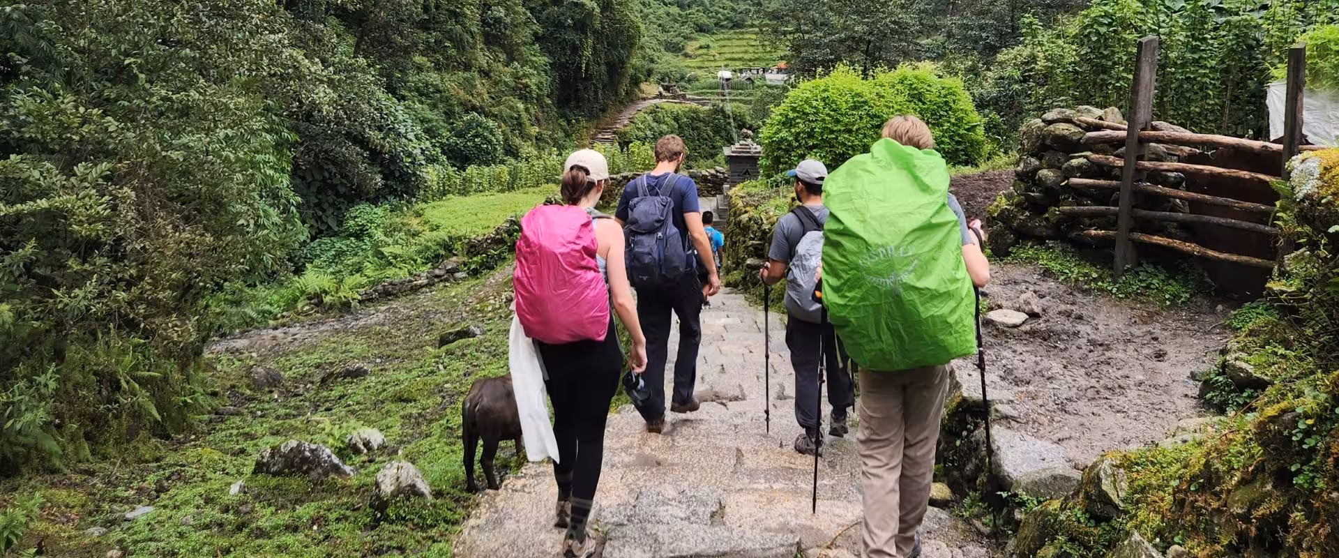Annapurna Base Camp Trek at 4130m: 2026 Altitude Acclimatization Guide