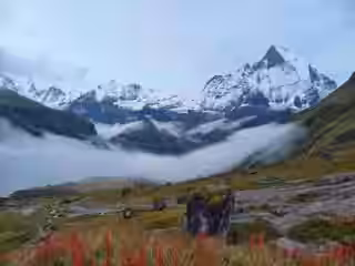 Annapurna-2048x1536.jpg-768x576.webp
