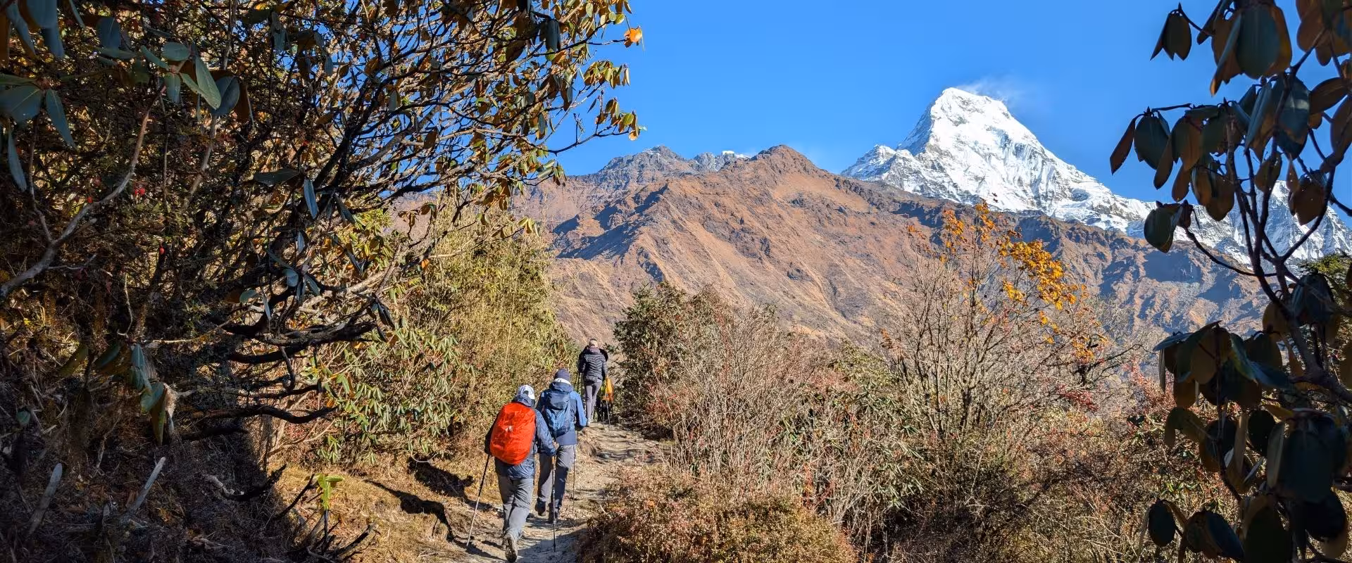 Travel Insurance for Trekking in Nepal: Your Complete 2026 Safety Guide