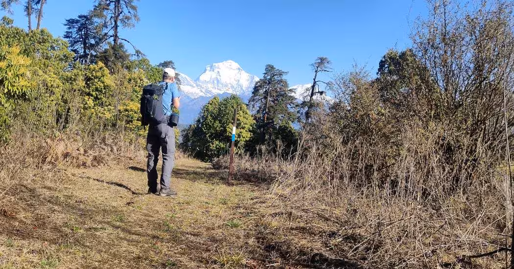 mohare-danda-independent-trek.jpg