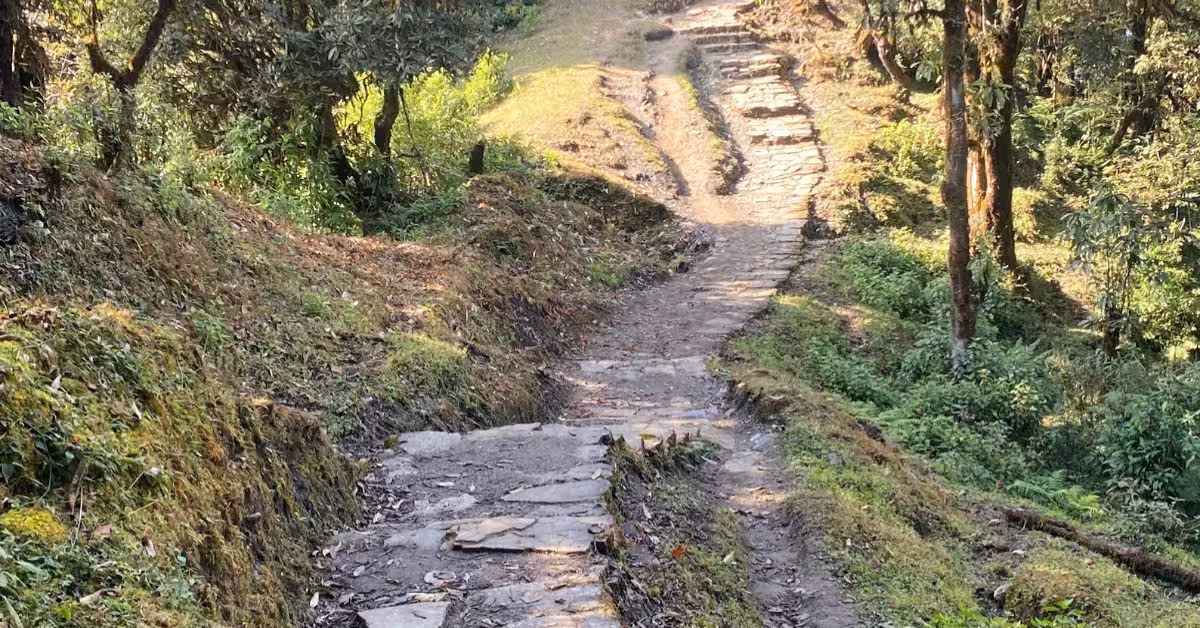 route-to-mardi-trail.jpg