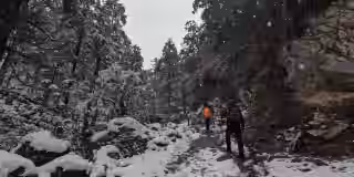 snow-covered-trail-leading-into-the-manaslu-circuit.jpg