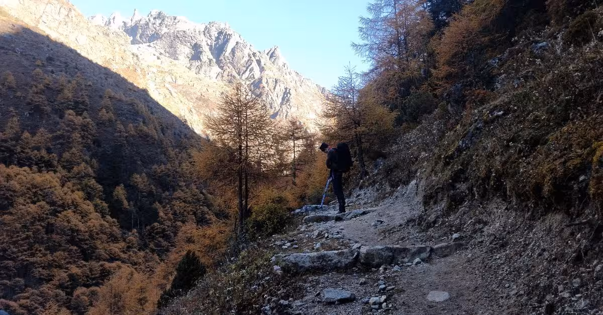 solo-trek-to-Nepal-trails.jpg