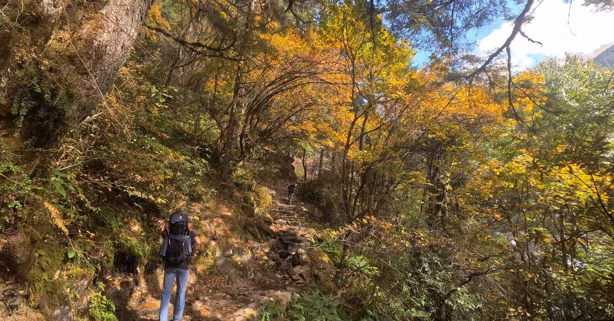 trekking-to-kanchenjunga-with-packed-gears.jpg