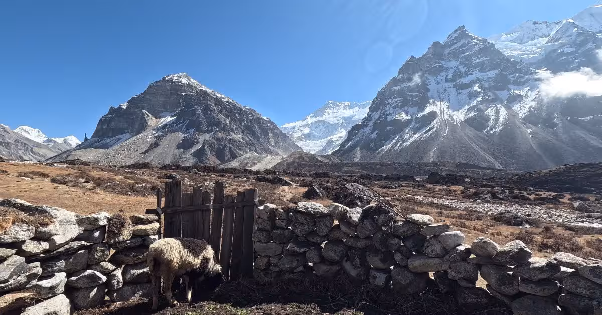 wonderful-view-from-kanchenjunga-trek.jpg