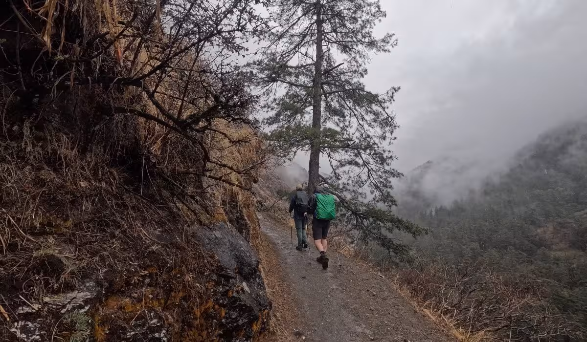 Trekkers ascending a misty forest trail on the way to Mu Gumba