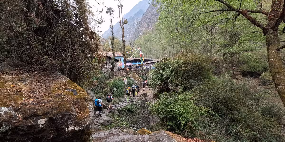 mountain group trek through moderate Nepal treks.jpg