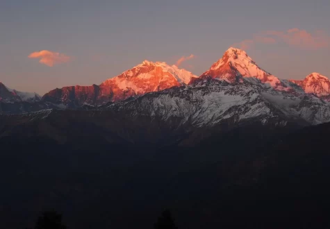 Ghorepani Poon Hill Trek