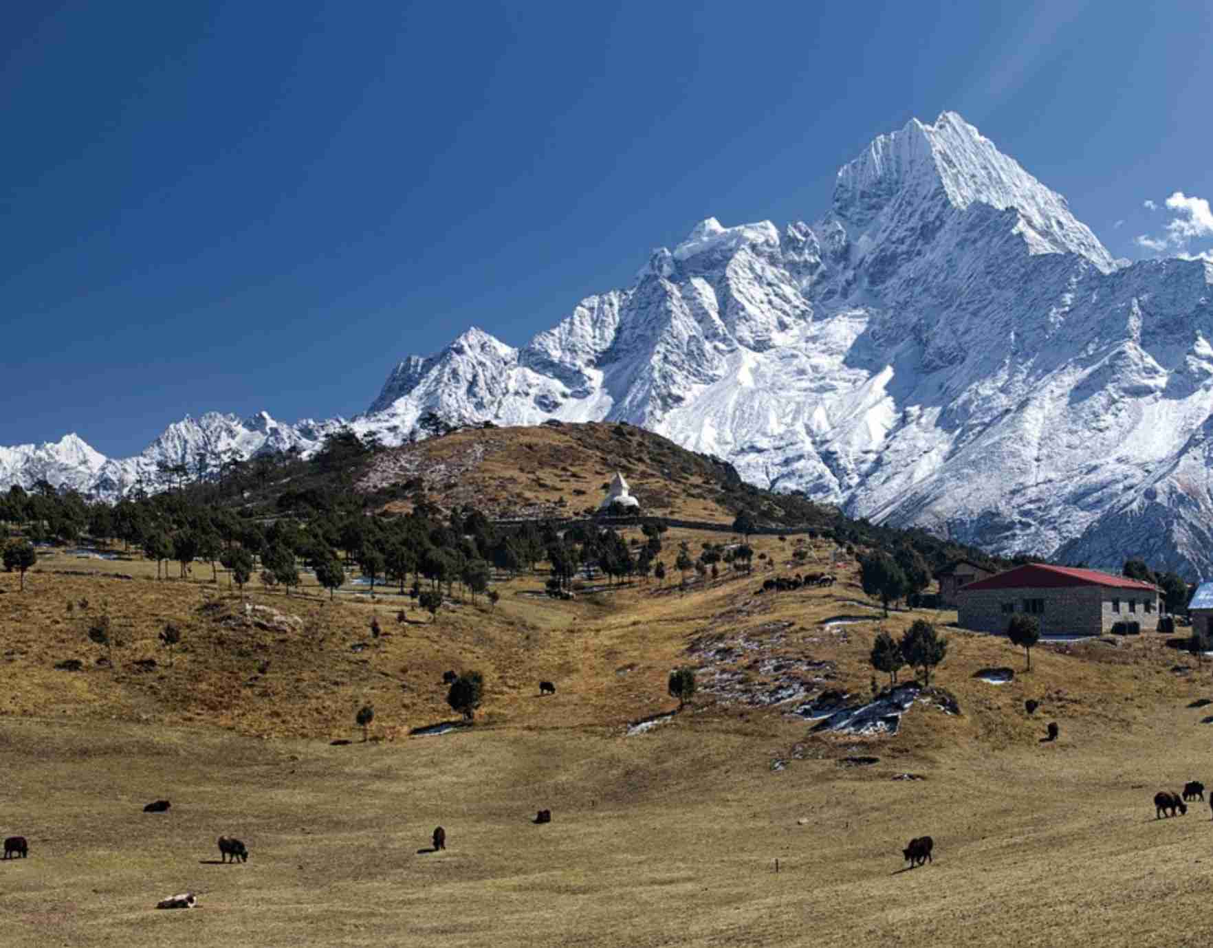 Best Time to Trek In Nepal