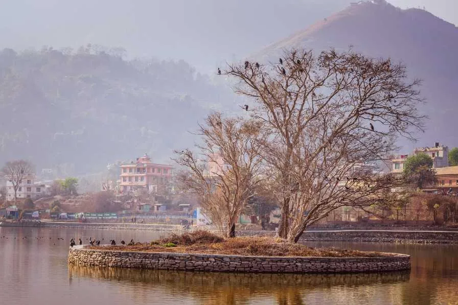 Natural Beauty Kathmandu